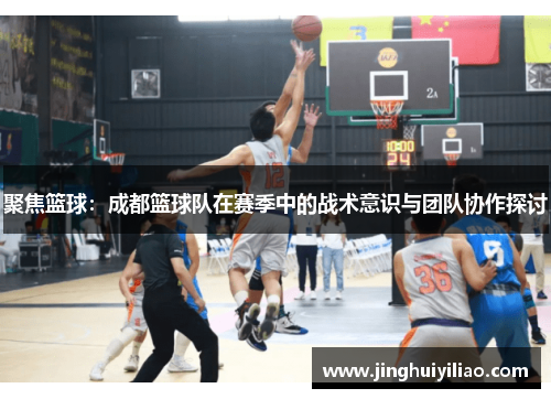 聚焦篮球：成都篮球队在赛季中的战术意识与团队协作探讨